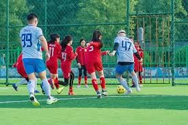 2025 赛季：波士顿红袜队芬威球场 2025 年正式实现全太阳能电力供应