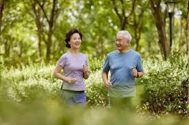 极端案例：解析“1992 年爱尔兰辛迪加集团”如何通过买断彩票组合实现稳赢。（买断彩票组合确保稳赢：1992年爱尔兰辛迪加集团的极端策略解读）